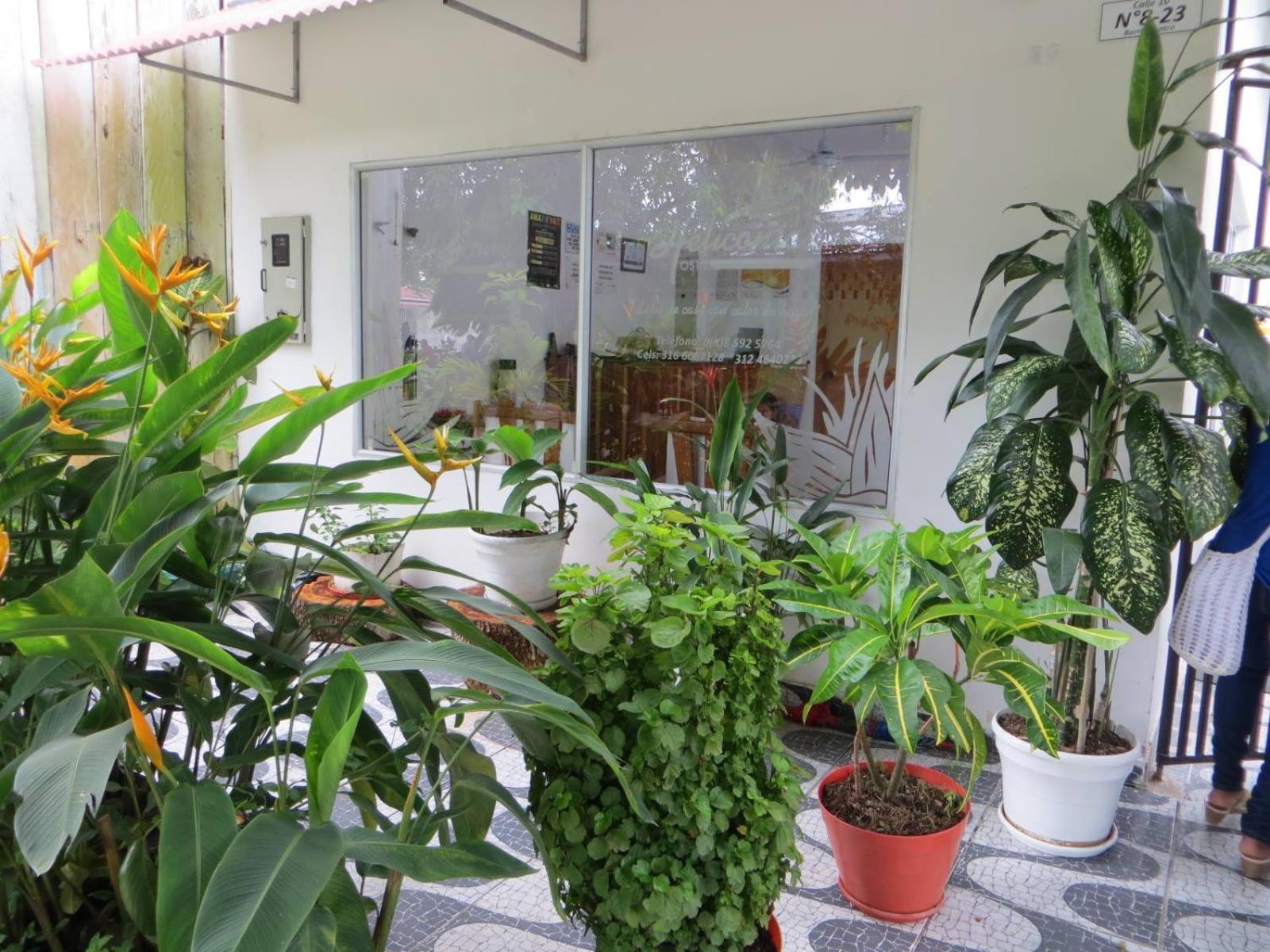 Hotel Heliconias Летісія Екстер'єр фото